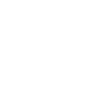 فروشگاه  دلژیر - لوگو